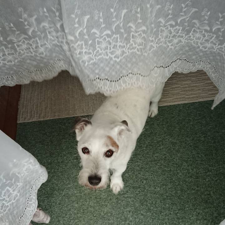 A3984aab 8839 4ff0 8b30 5c66dc4818f8 1561675711577