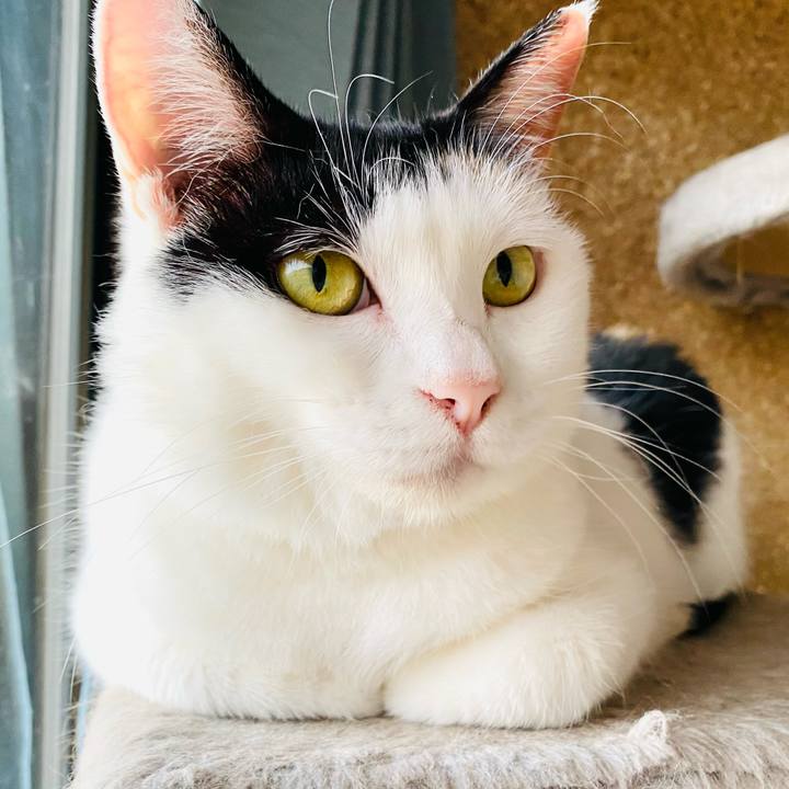 A3985370 180e 46c6 9f32 aceef5b6e154 1687817648118