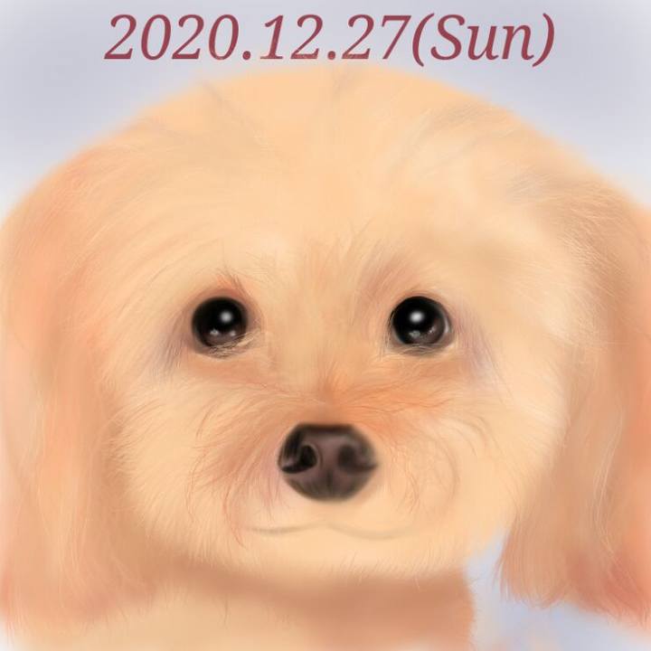 A3987bed 366d 4b9a ba68 c3ba4521fc82 1609059974191