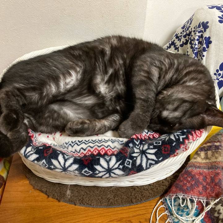 A398c246 de27 4978 afab 19093d2318a6 1713915520305