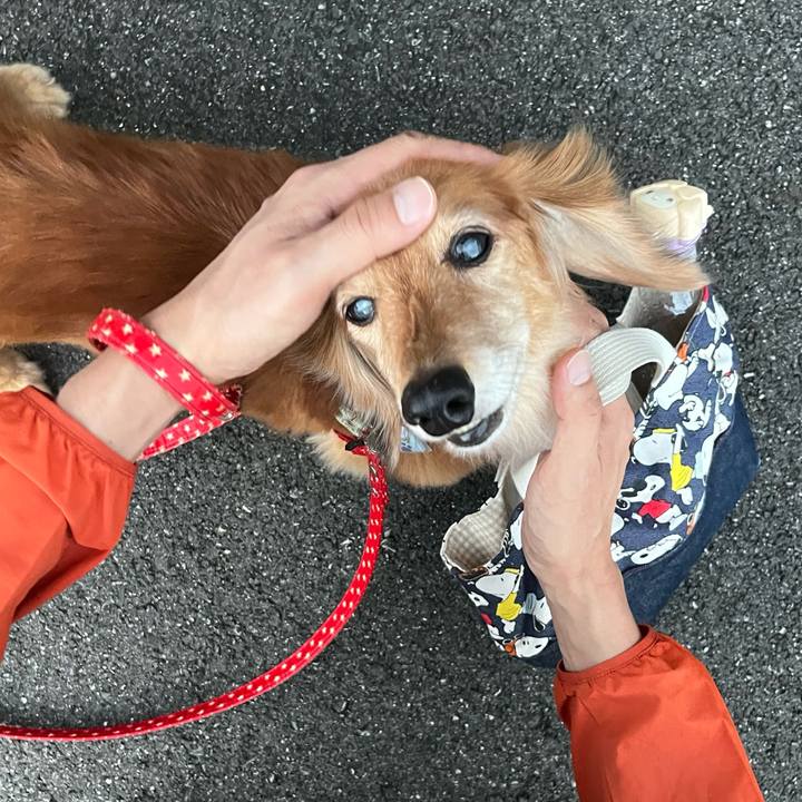 A398d74c 1184 4408 92f9 da2c739f99af 1664285466842