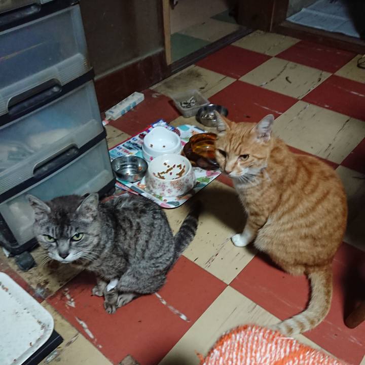 A398ed31 06b1 4ded af26 57402dadd0d4 1595533820669