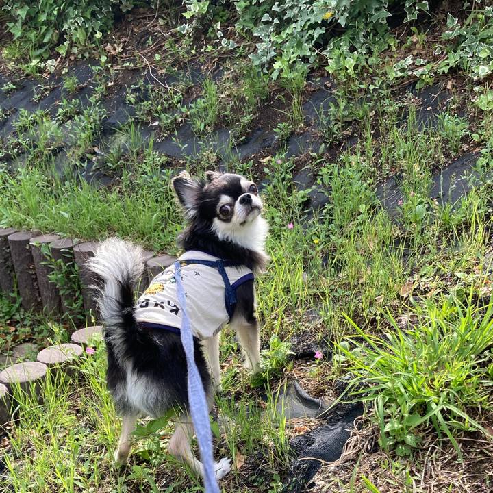 A398f8f9 48b0 47c5 9cb0 29fbd2566d22 1685851280687