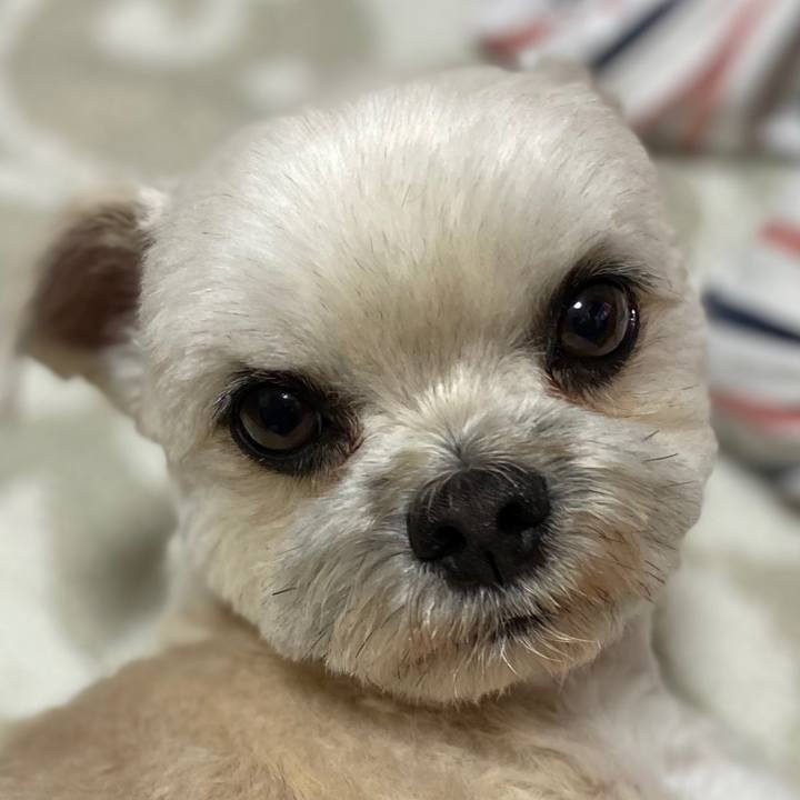 A399326d 904e 474a b751 173d83190140 1587046482979