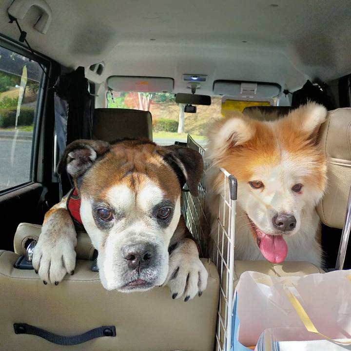 A399472e bc89 4152 8be1 071bdd6476cb 1637495127823