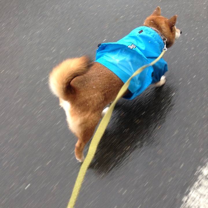 A399643f ce48 49d3 82b7 2063e8246d40 1579313274601