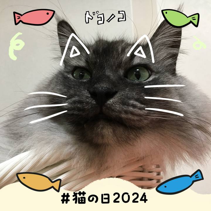 A3996a71 42a6 47bb b065 5c77e11facdb 1708540360875