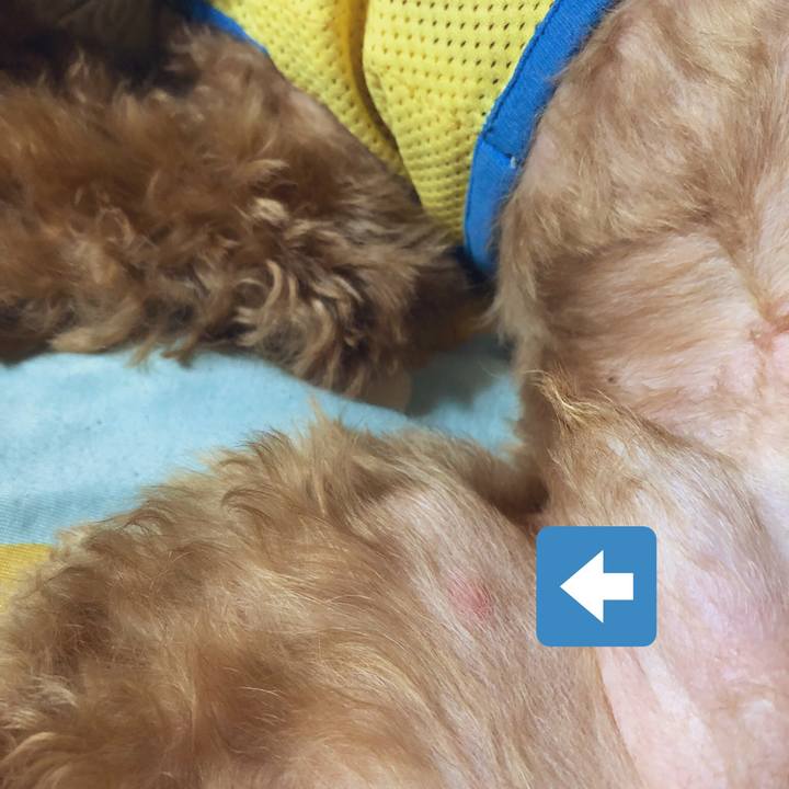 A399a5b3 ce3f 4cdf 845b f3eb8333a743 1564639328391