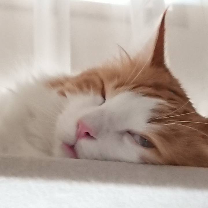 A399b659 69d0 437d b5b5 d73581eb3c47 1533565278712