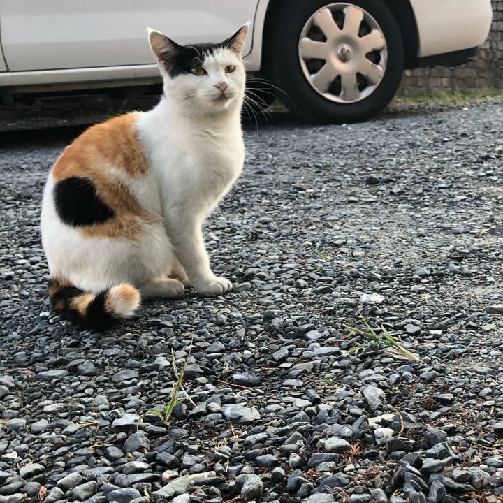 A399b70b e29e 4cf1 99ac bccddc54ef51 1601331519744