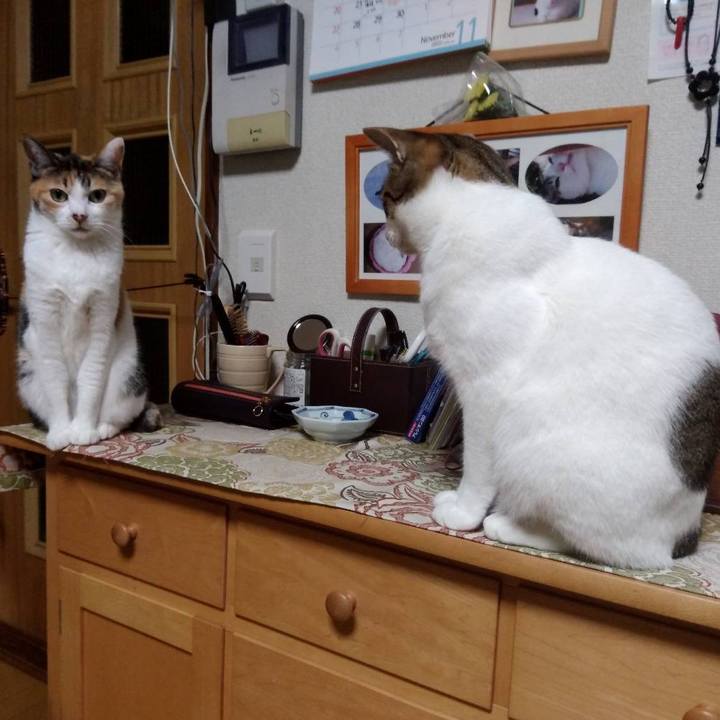 A399d690 04b6 4d75 ac8a 76eafaa78ae7 1668679047095