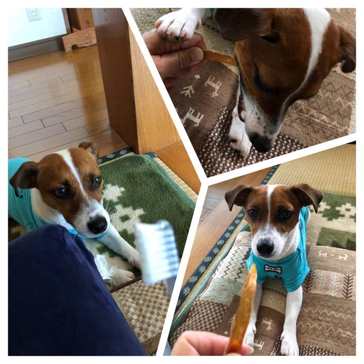 A39a073d 0ed2 426b b96c c332361d18d1 1531093911330