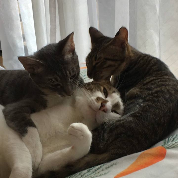 A39a1faf a99c 40a0 b8ad 75f32d67a909 1537954897462