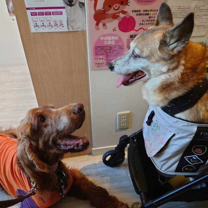 A39a232c 227d 4644 b2ba 38b7b888a23b 1653827642677