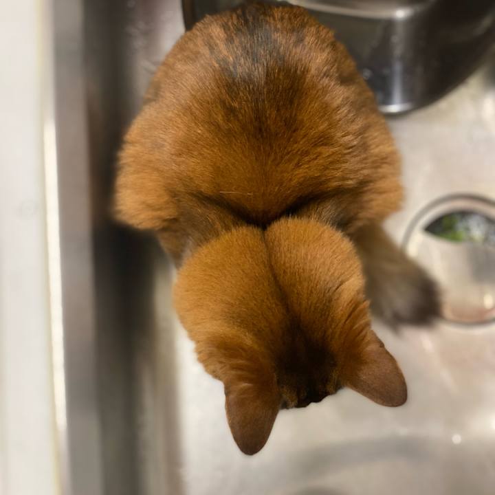 A39aa591 d701 49cd 8b6f b912a6c5d137 1677659140621