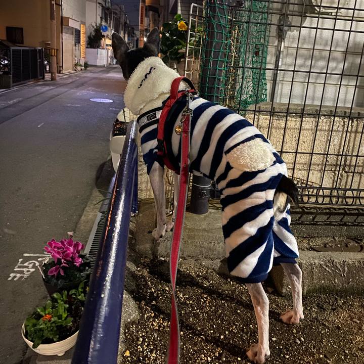 A39aa953 b6d9 4f45 807a 8f4cbaec622d 1579040251757