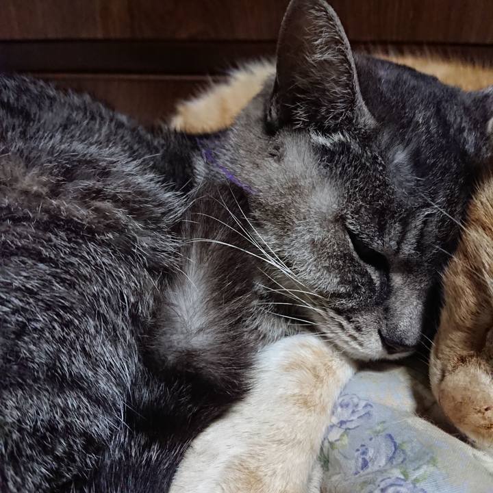 A39b2234 0b5d 474d a29b 5c91aca5891d 1579522500299