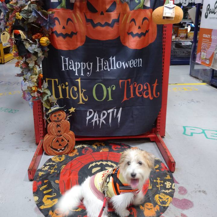 A39b24d6 47be 4624 8f23 422226e4ffd7 1757831398756