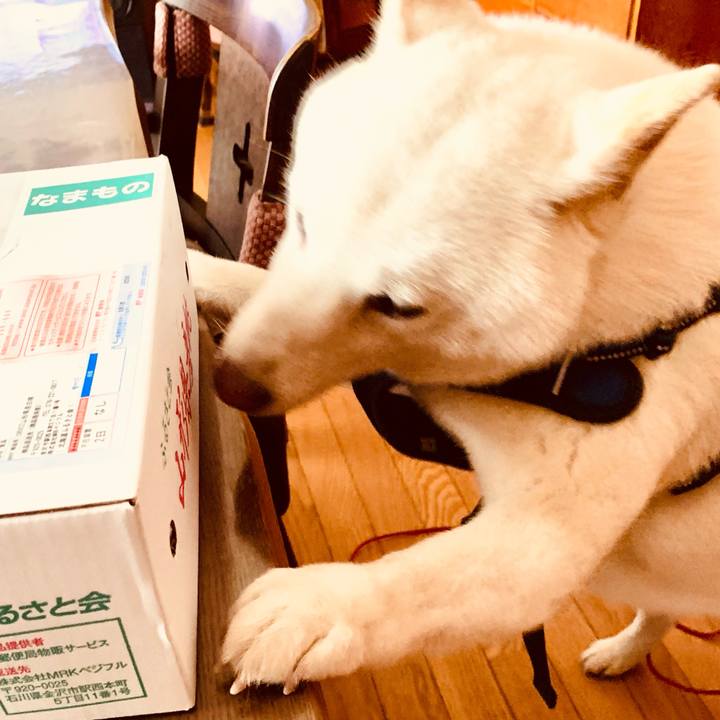 A39b2f83 2f0c 4c06 9108 17a0da2c269f 1629095595662