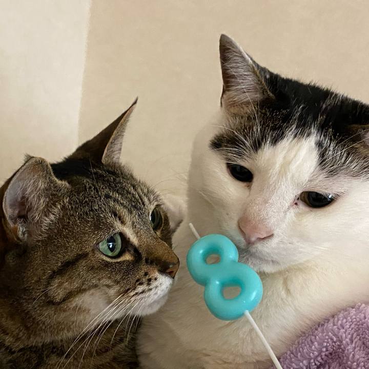 A39b3ad7 dda4 4322 8c02 06abb8041f76 1772535721641