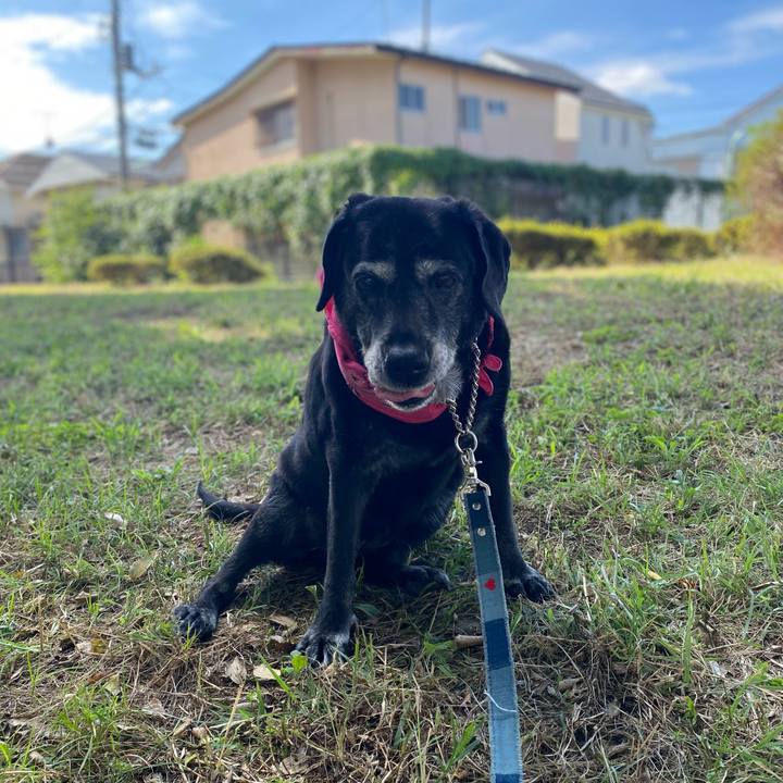 A39b7f58 0bb1 4035 9088 a6c851cbfc6f 1728884474799