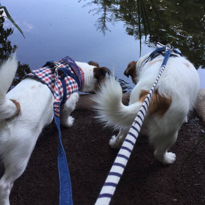 A39bb1ea b70c 45d1 9277 b393941e662a 1535273090368