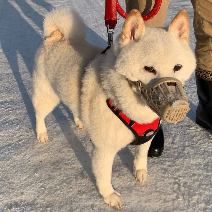 A39c07b6 2315 4b76 a852 1214bb4b9f35 1677536988126