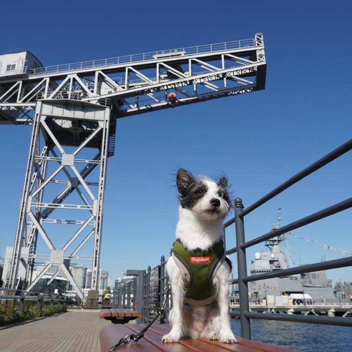 A39c2abf 1169 4ed2 856a a3293961b545 1667561171605