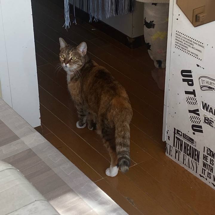 A39c54fb 67b5 4ee1 b4ed f2620e32603f 1638496864750