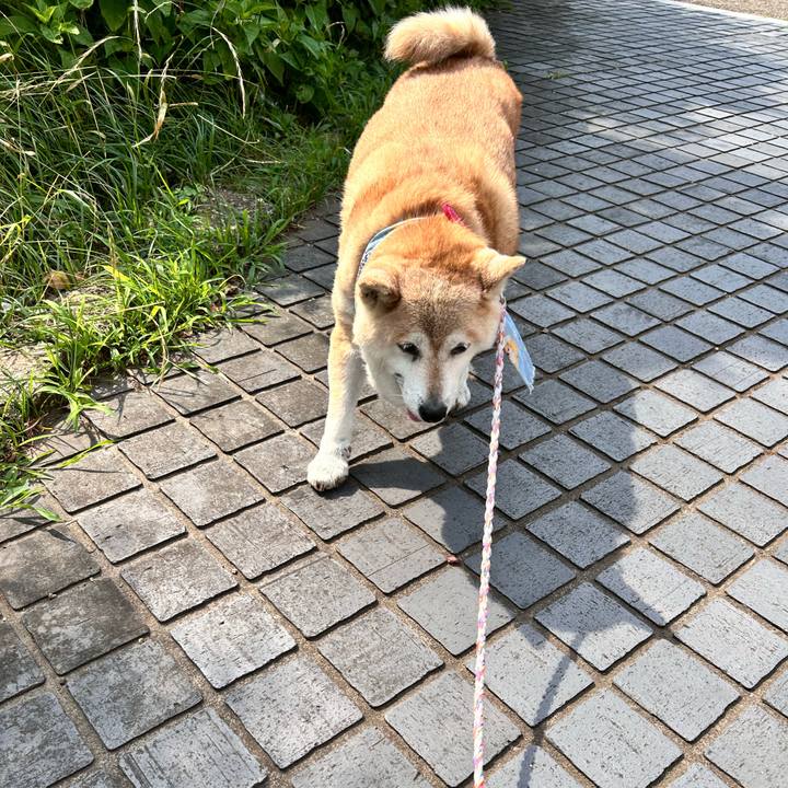 A39c551a 5e9f 4d7c 8e73 27fe7bb8ec0b 1751329736476