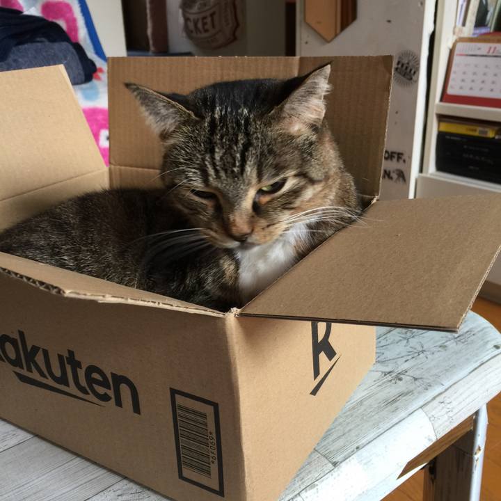 A39c78e1 3cbe 490b a5b8 32fba005cd80 1574129613866