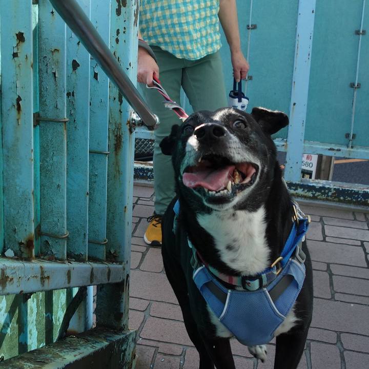 A39c9634 54e6 4024 ad5b f3e431562340 1750289890809