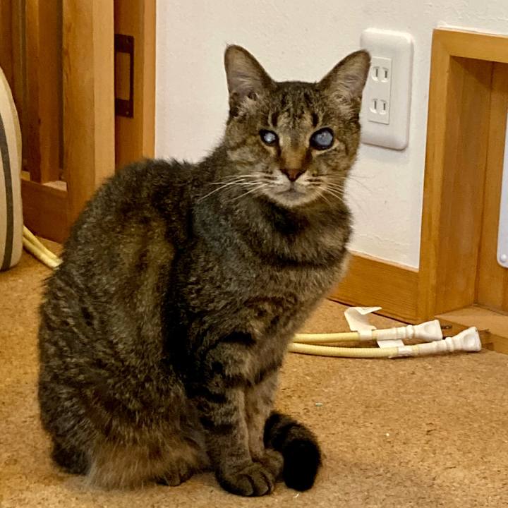 A39cacf8 2310 4210 b3f7 deac50eb5705 1677889622209