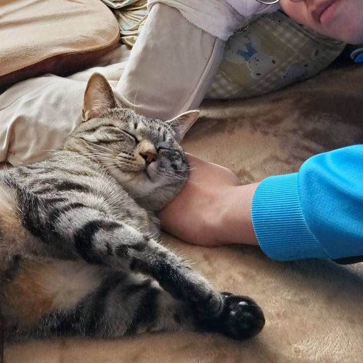 A39cc25c 41c2 43ec bcf8 28cad54412f6 1708967186329