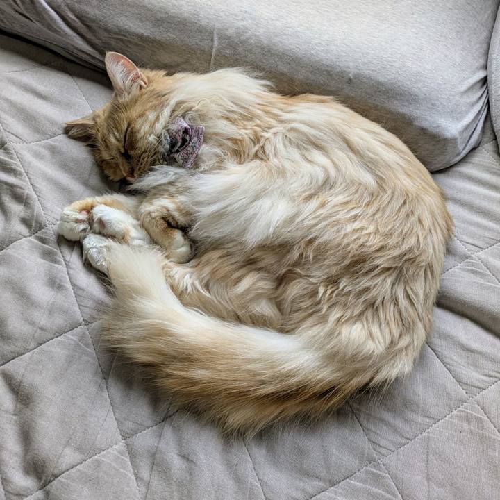 A39d1e06 a70c 415b 9846 0d9e500aacbe 1748488366072