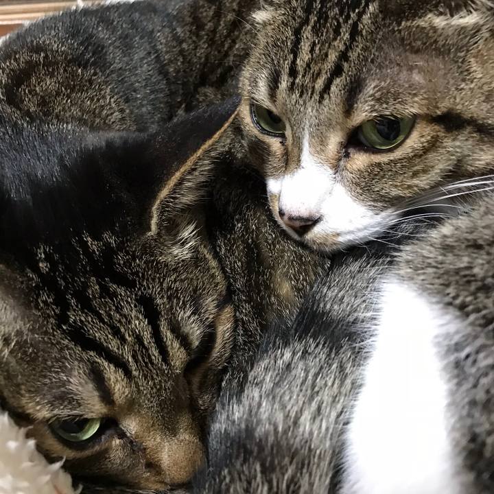 A39d4105 ea4e 410a adb7 036a695d906e 1510104197846