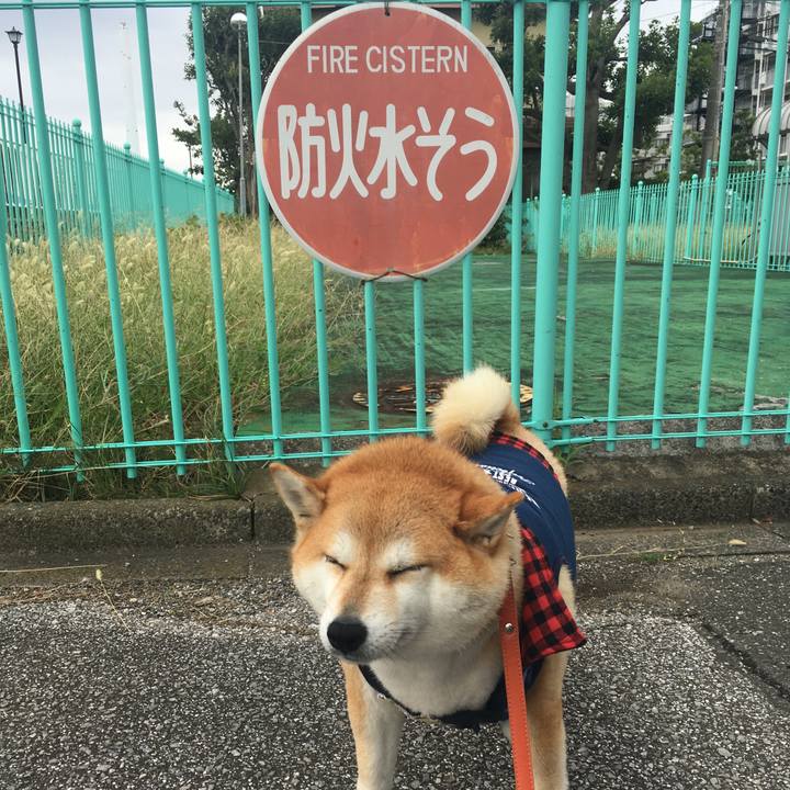 A39d574e 80af 4159 af11 d955991e09c6 1570407858226