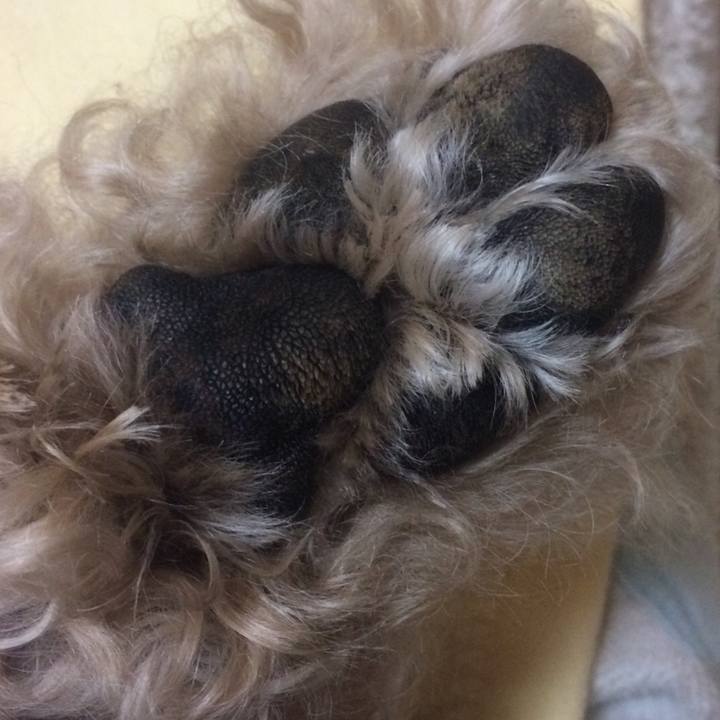 A39d95d5 e1f3 4c5a b467 d1b11bdf5d15 1601980170935