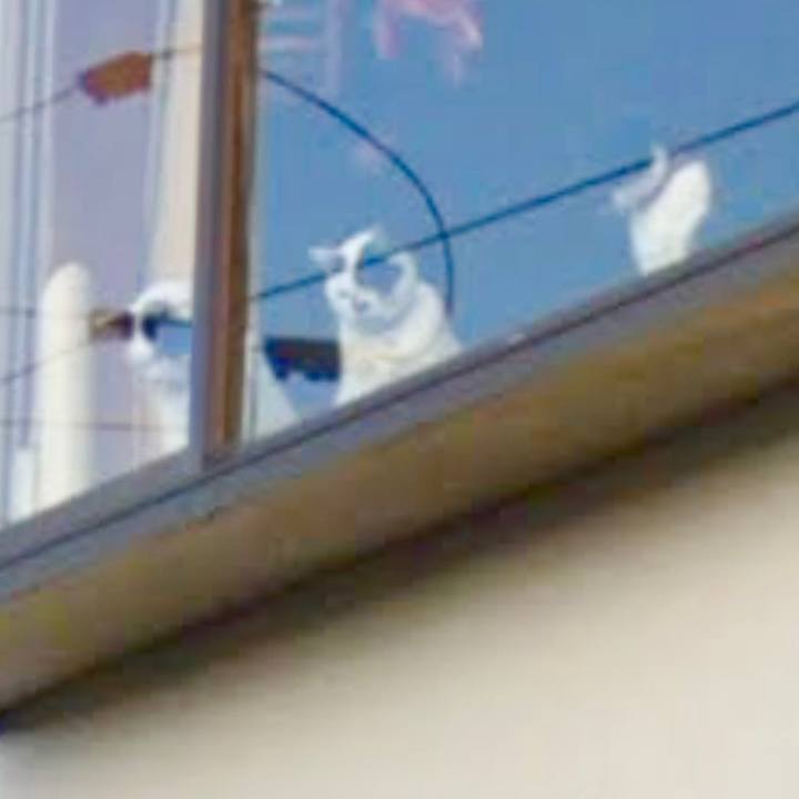 A39da60f 3dca 4e8e 8d8e 8798ed87bfa7 1696910172656