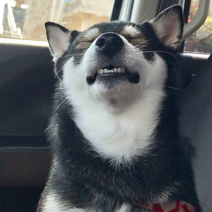 A39db6d6 8410 4027 85c2 15a7b117df77 1521340555970