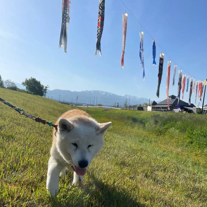 A39e2a96 40b1 4b43 892c 280e25947c28 1714887316294