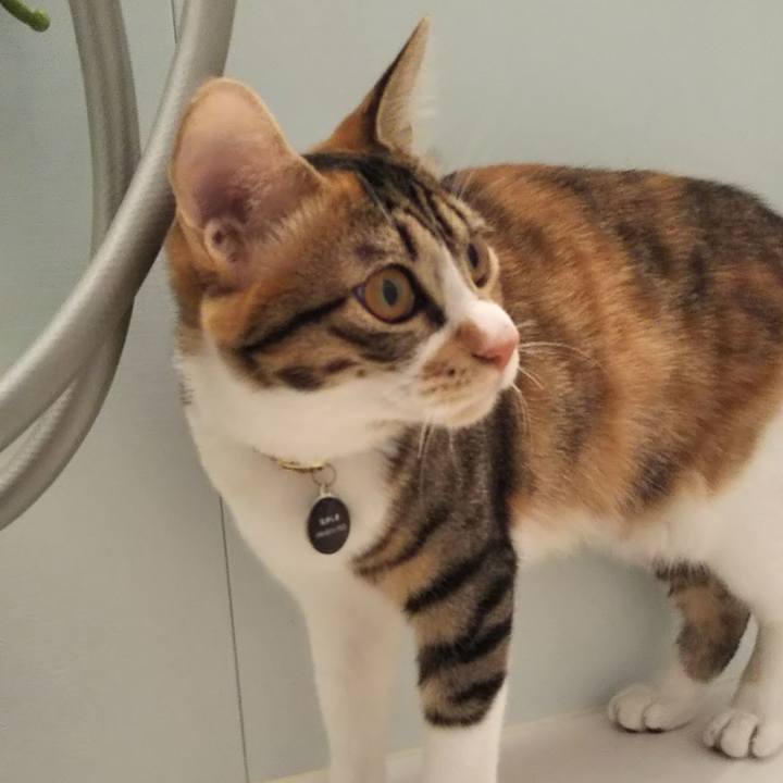 A39e31bf 7376 48d5 8ff2 534509f01e01 1638769353057