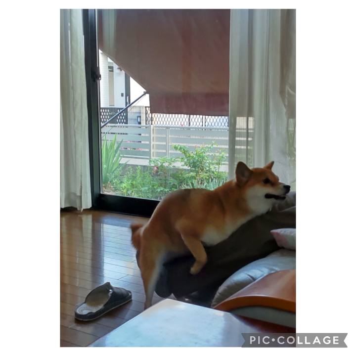 A39e54e1 5e2b 4272 885e c1c5285adeae 1682501900075