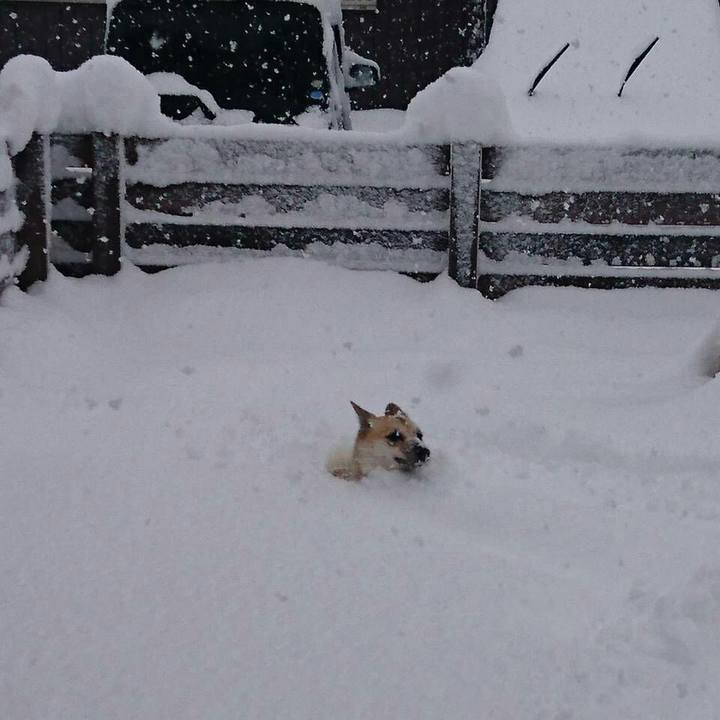 A39e945e 2a56 4dfb ab60 9204d78cda5e 1513670850230