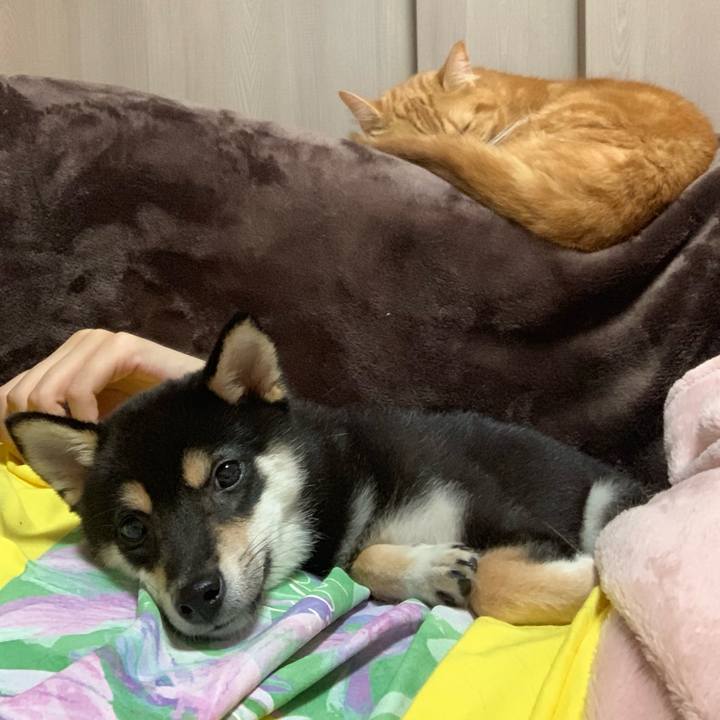 A39ea00e 94f4 45cc 855e 839cf24bd4b9 1560211558232