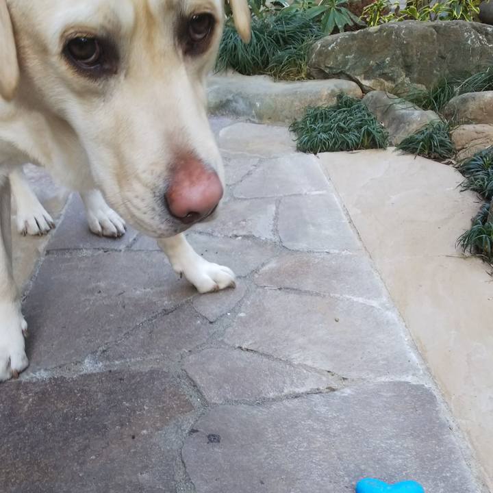 A39ecad0 5f8d 45e8 8095 97ec9a8470ad 1547710937844