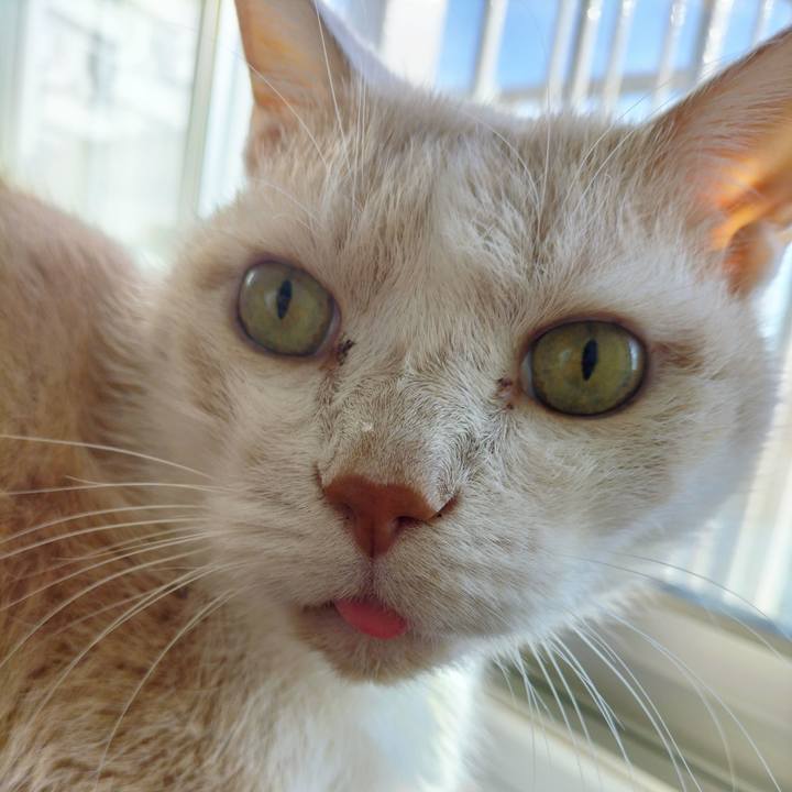 A39ecc3b bbe5 4e71 a90f e0eebc5662ea 1698127943838