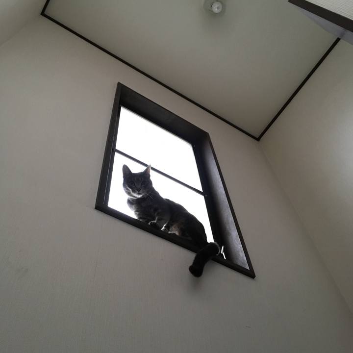 A39edb36 9a5d 4e79 8933 83b586fdb9f0 1508038741403