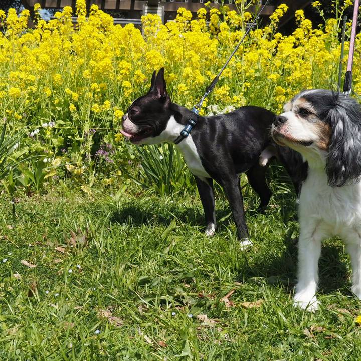 A39edc8b beb9 4439 a834 fba0d385a1b5 1522465507719