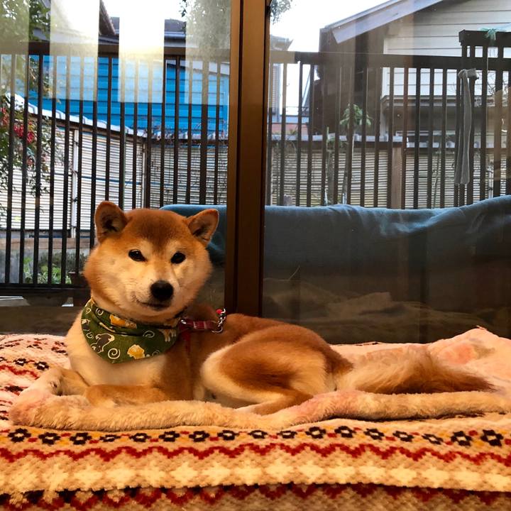 A39ee6a7 6b4c 4c91 acc5 362541f88758 1546936727280